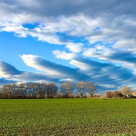 ゲストハウス Mansarda Seaview