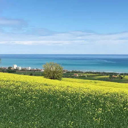 Mansarda Seaview 招待所 西尼加利亚